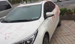 车哥最新爆料了什么