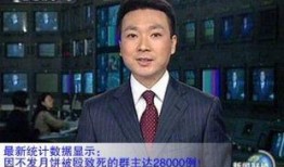 天涯爆料康辉简介视频播放,揭秘主播背后的故事
